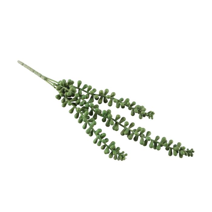 Artificial String of Pearls   Plant with Stem