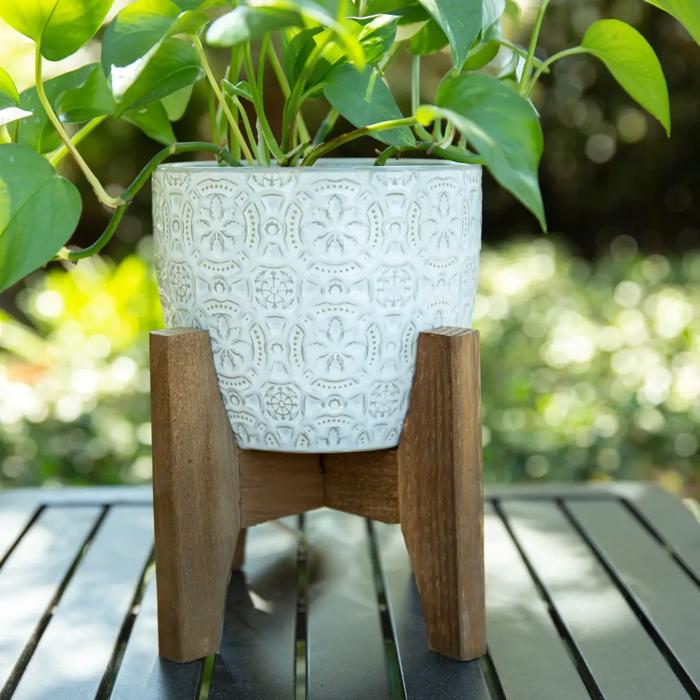 Set of 2 10" & 8" Cathedral Ceramic Planters