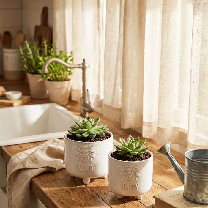 Set of 2 Bee Kind Footed Planters