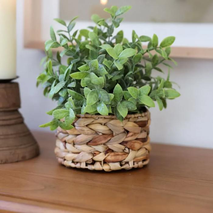 Tealeaf in 6“ Basket 