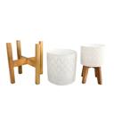  Set of 2 10' & 8" Illuminati Ceramic Planter on Wood Stand