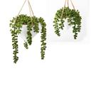  Set of 2 6.75" & 4.5' Empty White Hanging Geo Planters
