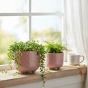  Set of 2 Sun & Moon Footed Planters