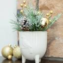  Xmas Mix Snowy Pine in 4.5" Cardinal Planter