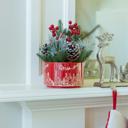  XMAS Mix in 7" Red Cityscape Planter 