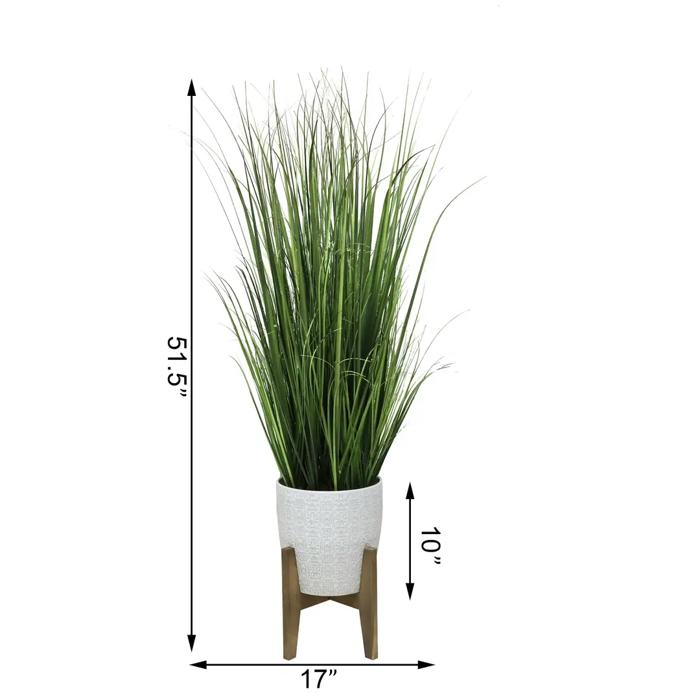 50" Onion Grass in Cathedral Planter
