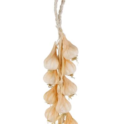 Artificial Strand of Garlic