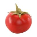  Artificial Tomato