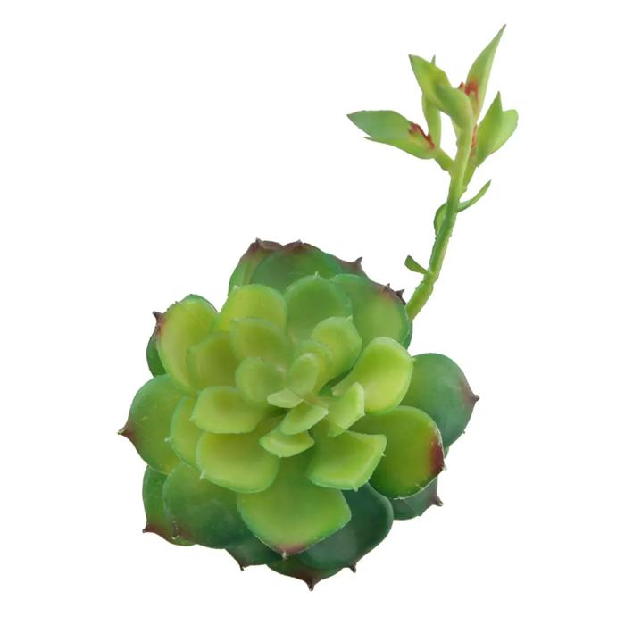 Artificial Echeveria Lola with Stem