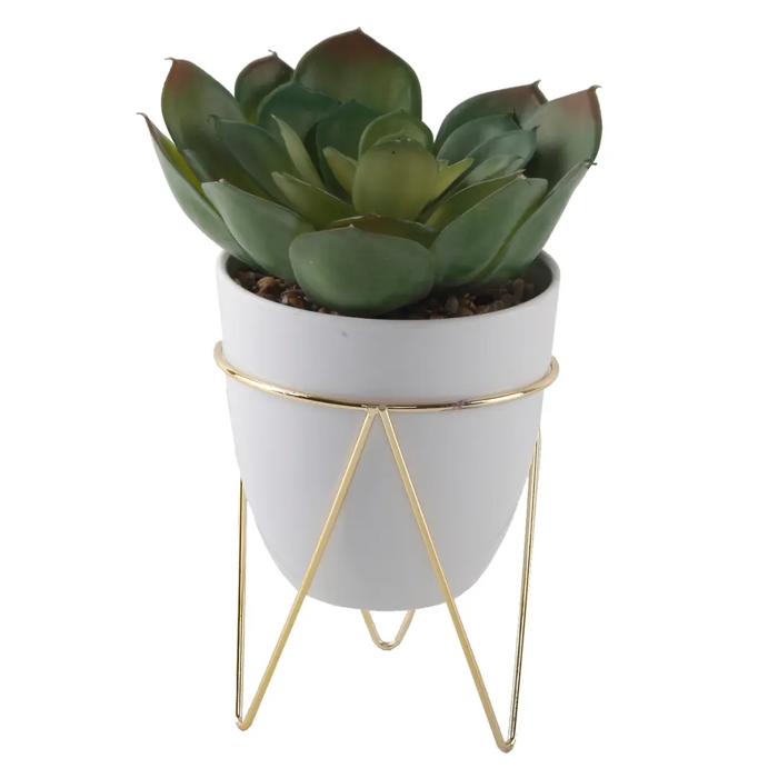 Succulent in Planter with Metal Stand 