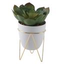  Succulent in Planter with Metal Stand 