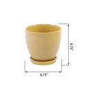  Set of 3 Hiero Planters w/ Saucer 