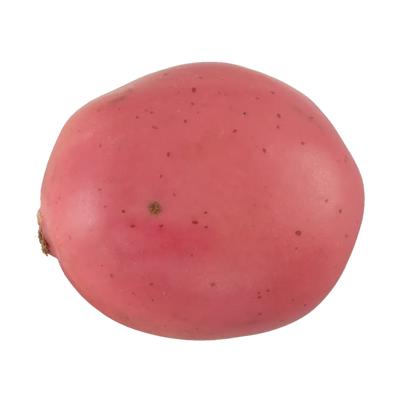 Realistic Faux Potato (MV)