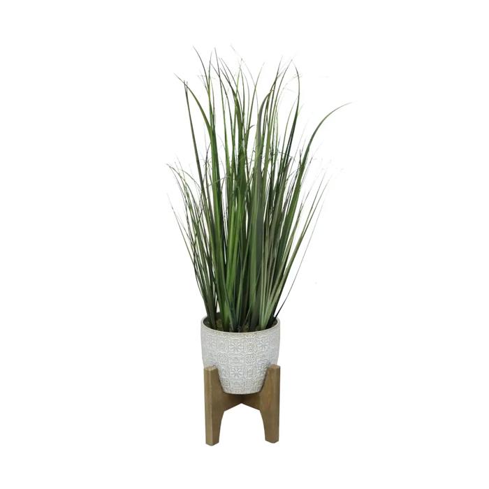 31" Onion Grass in Cathedral Planter