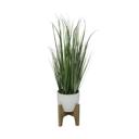  31" Onion Grass in Cathedral Planter