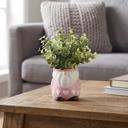  Eucalyptus in Hearts Gnome