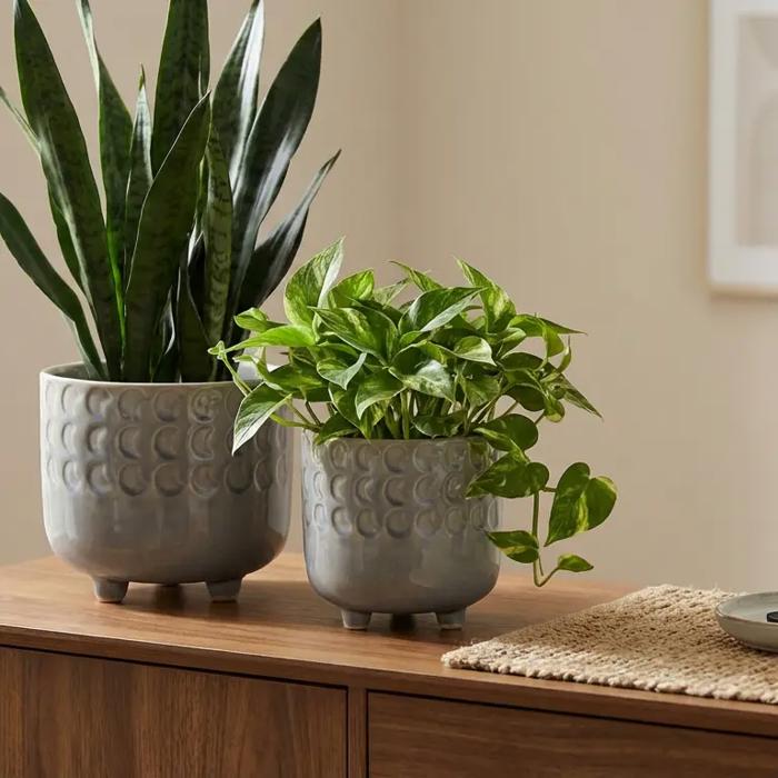  Set of 2 Small Moon Phase Footed Planters