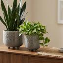   Set of 2 Small Moon Phase Footed Planters