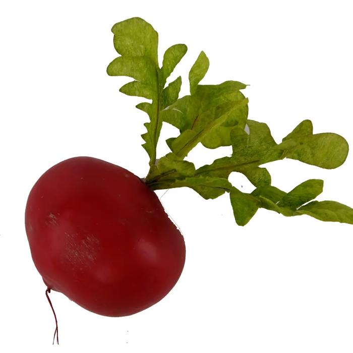 Artificial Round Radish