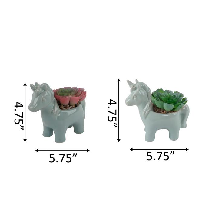 Succulent in Teal Unicorn Planter 