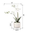  18"H Real-touch Orchids in 6" Ceramic Planter