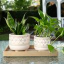  Set of 2 White & Gold Geo Print Planter