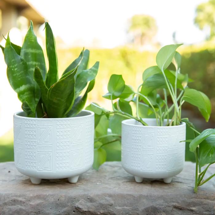 Set of 2 Hiero Footed Planters