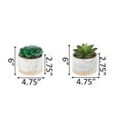  Set of 2 Succulents in Marble Planter