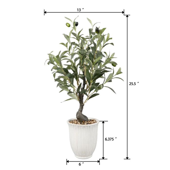 25.5" Olive tree in 6" Texture Ceramic Pot 