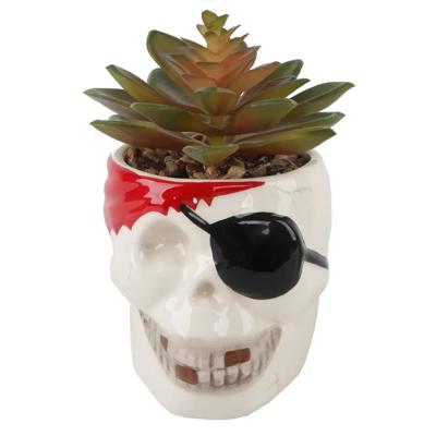 Faux Succulent in Ceramic Pirate