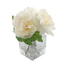  9.5" Pink Silk Peonies in Glass Vase (CRM)