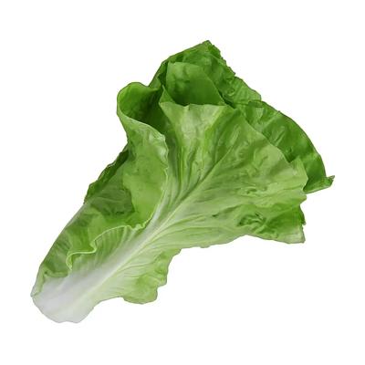 Large Artificial Lettuce