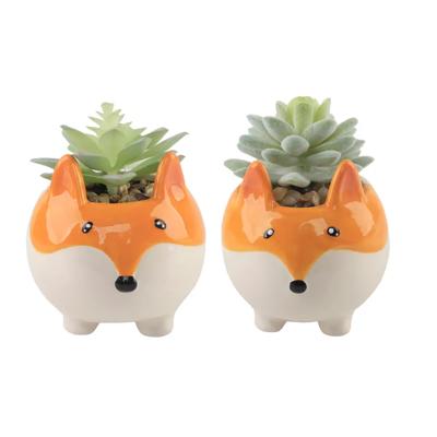Set of 2 Succulents in Fox Planters