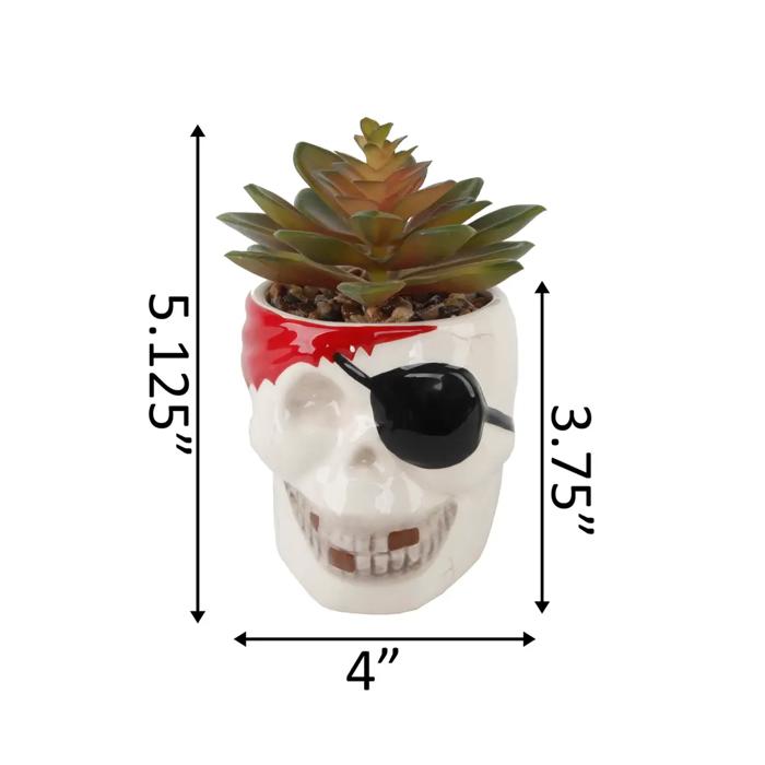 Faux Succulent in Ceramic Pirate