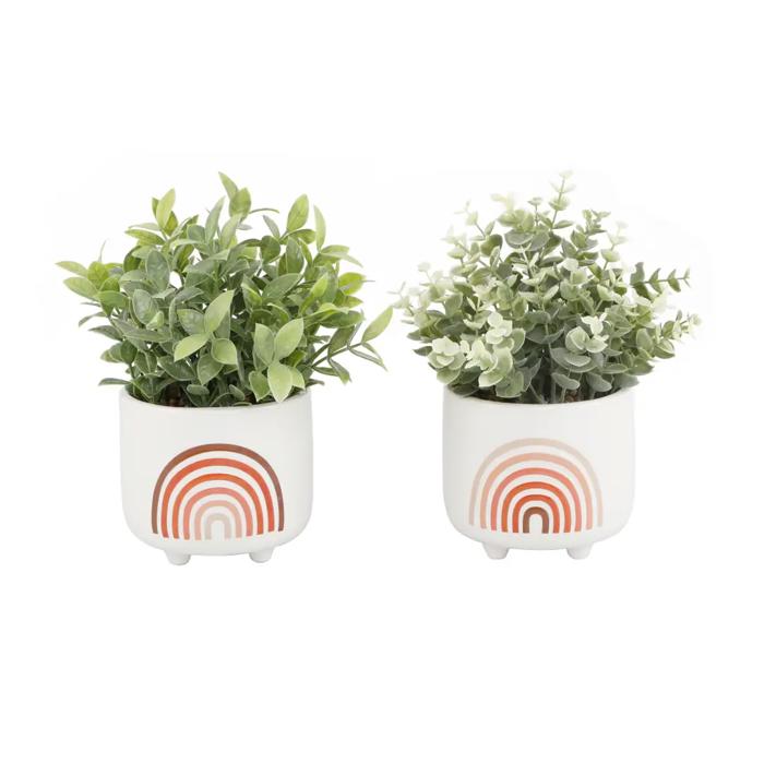 Set of 2 Rainbow Planters