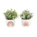  Set of 2 Rainbow Planters