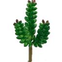  Artificial Donkey Tail Green Succulent