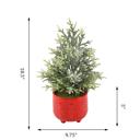  19" Frosted Tree in 6" Nutcracker Planter 