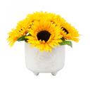  Sunflowers in 5" Blessed Planter