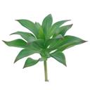  Artificial Aloe Blizzard with Stem