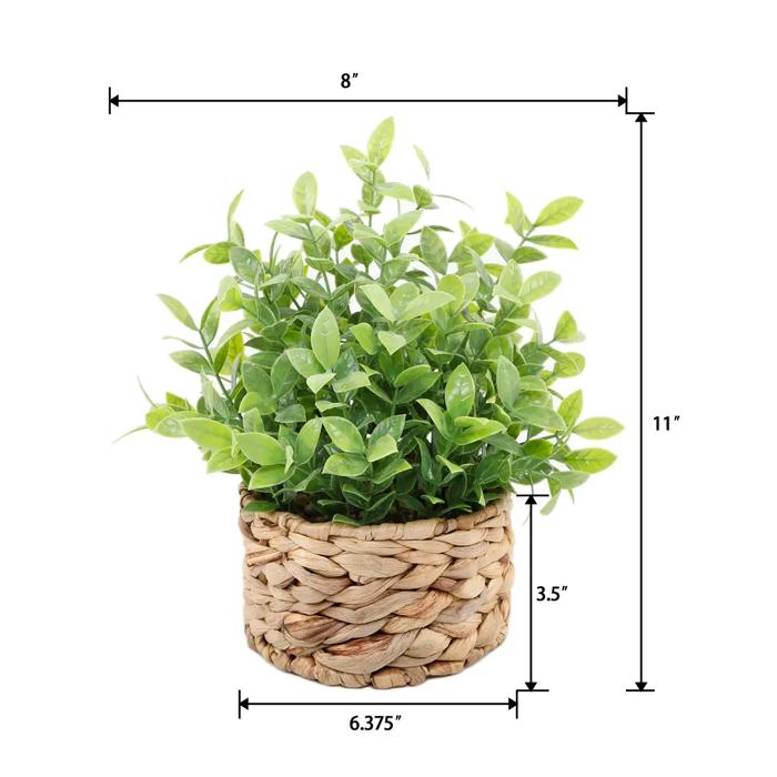 Tealeaf in 6“ Basket 