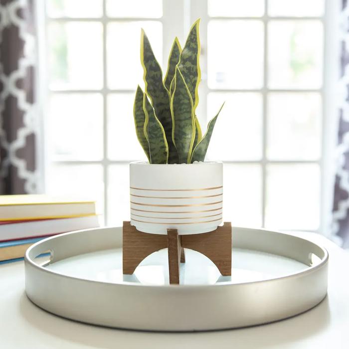 4.75" Gold Line Ceramic Planter with Wooden Stand