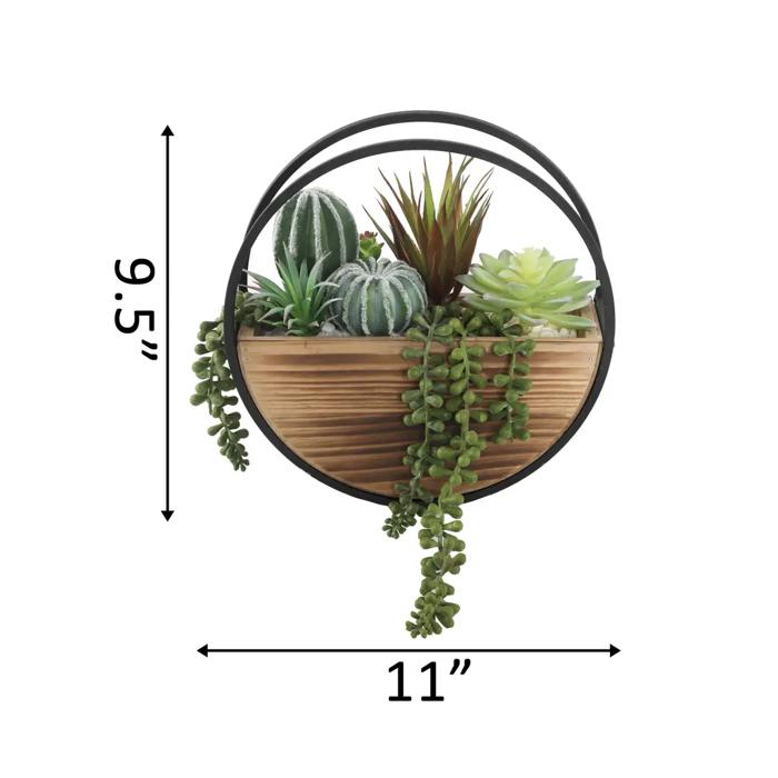 Succulent Mix in Round Hanging Planter