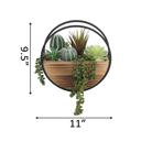  Succulent Mix in Round Hanging Planter