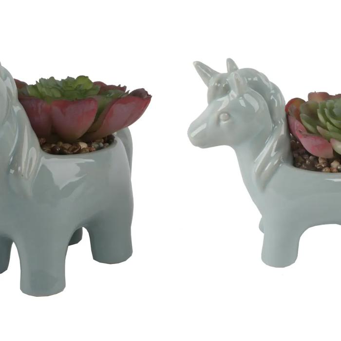 Succulent in Teal Unicorn Planter 