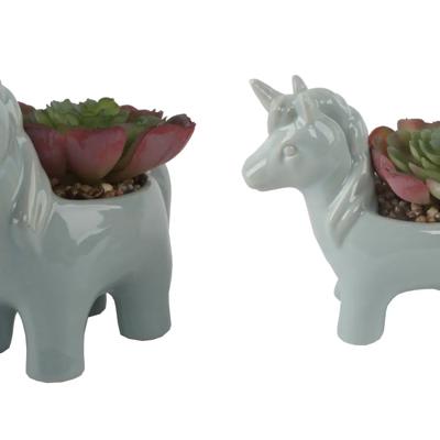 Succulent in Teal Unicorn Planter 