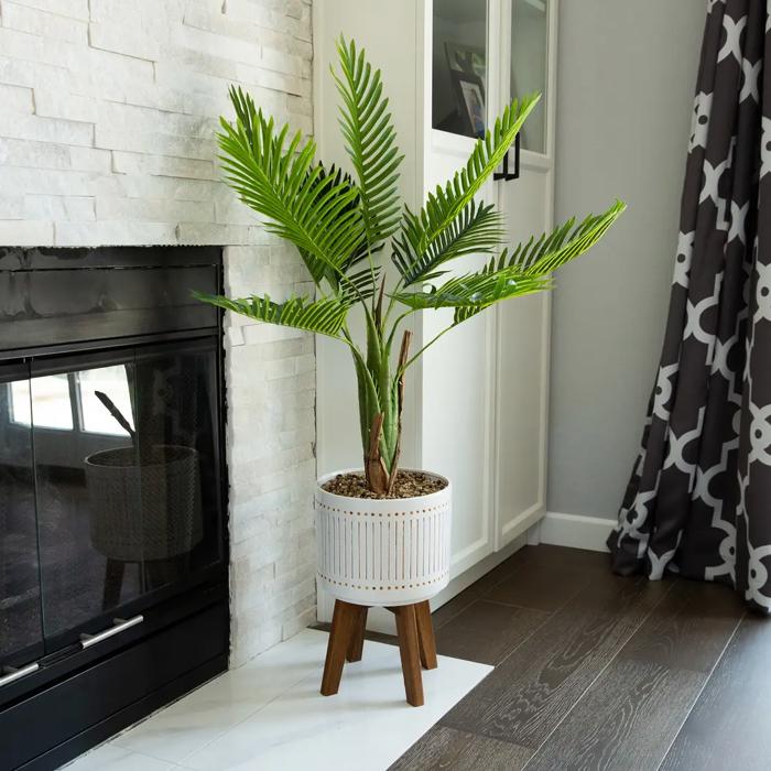 48" Areca Palm in Ceramic Planter