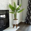  48" Areca Palm in Ceramic Planter