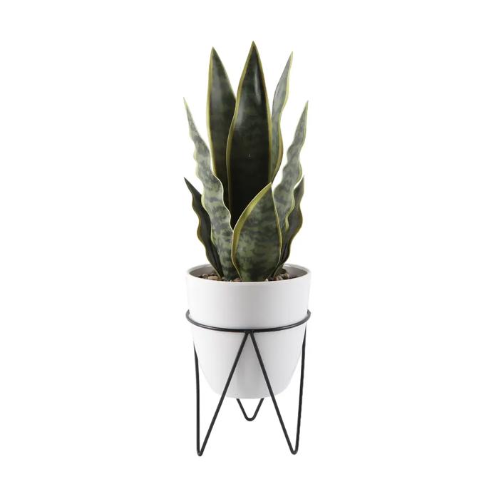  15.25" Snake Plant in Planter with Metal Stand