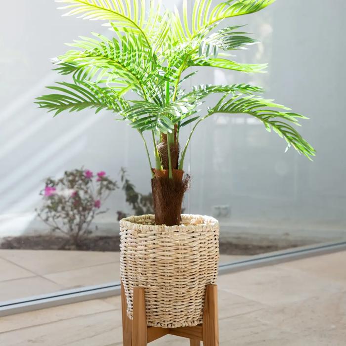 45" Palm in 10" Basket